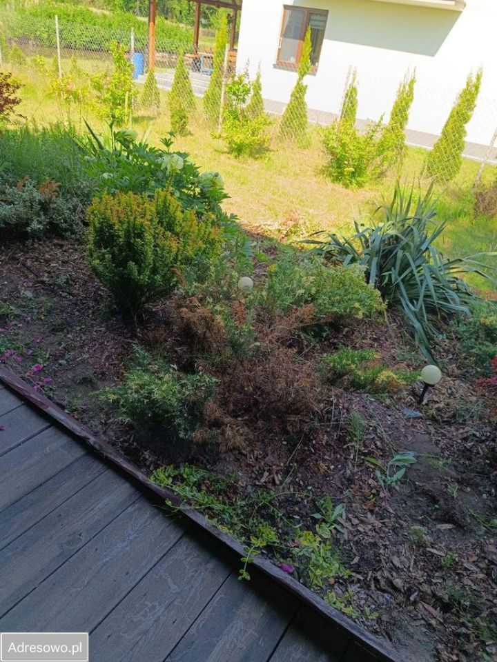 Działka budowlana Tyborów. Zdjęcie 5