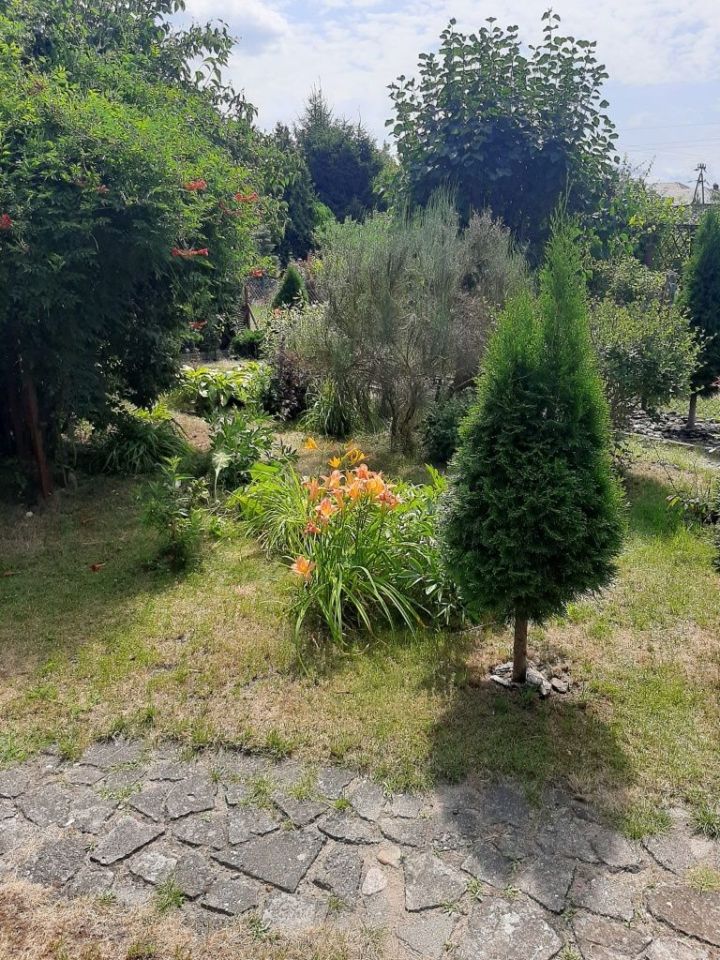 Działka rod Sochaczew. Zdjęcie 8