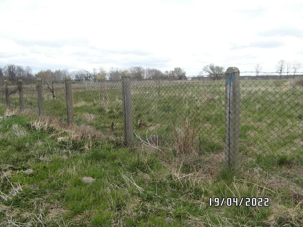 Działka rolno-budowlana Niedrzew Drugi. Zdjęcie 8