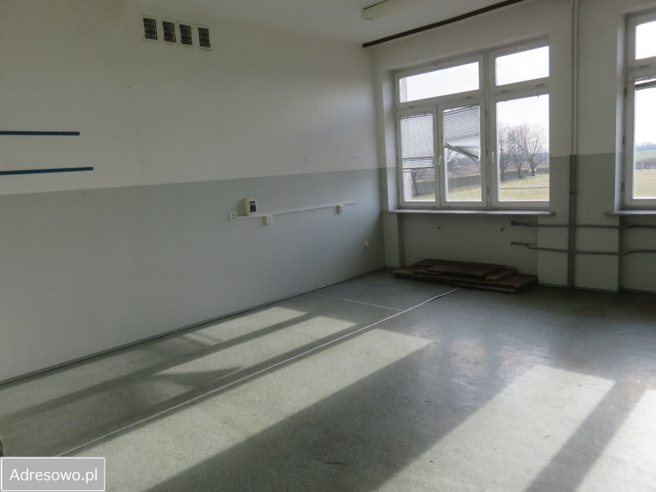 Lokal Paprotnia. Zdjęcie 9