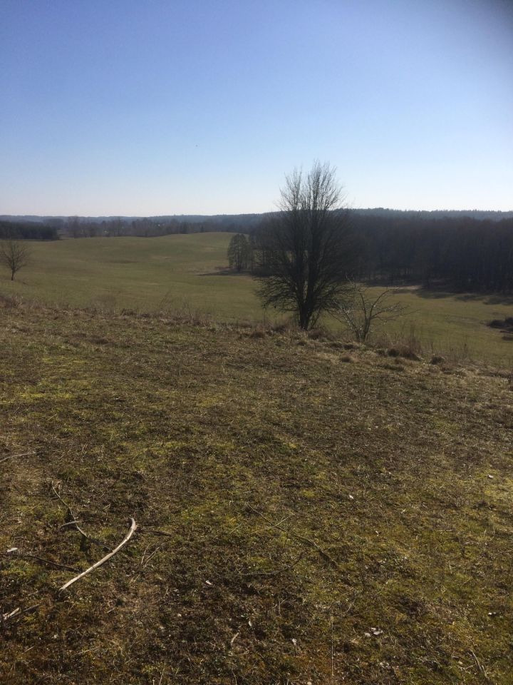 Działka rolna Tumiany. Zdjęcie 4