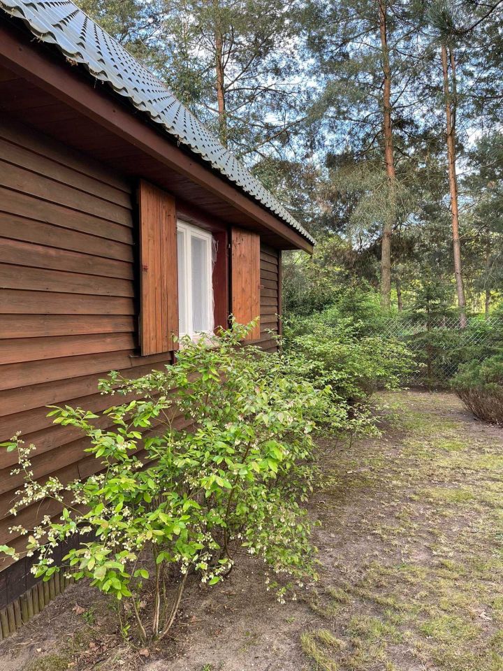 Działka rekreacyjna Arciechów. Zdjęcie 8