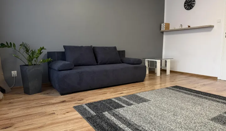 Mieszkanie 2-pokojowe Kudowa-Zdrój Centrum, Pogodna