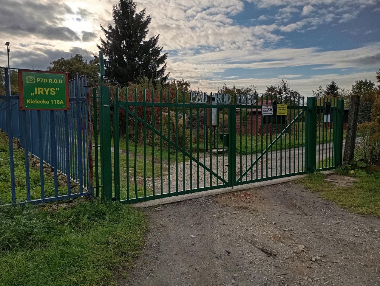 Działka rod Radom Kierzków, ul. Kielecka 118A. Zdjęcie 5