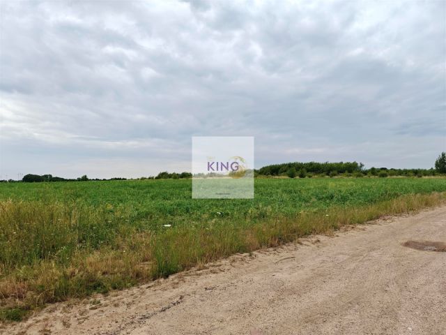 Działka rolna Karwowo. Zdjęcie 4