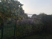 Działka rod Wrocław Fabryczna, ul. Francuska. Zdjęcie 3