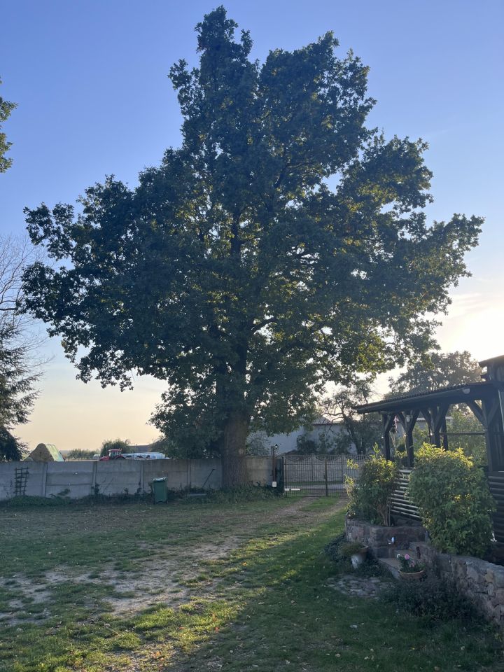 dom wolnostojący, 6 pokoi Modliszewo, Wegorzewo. Zdjęcie 36