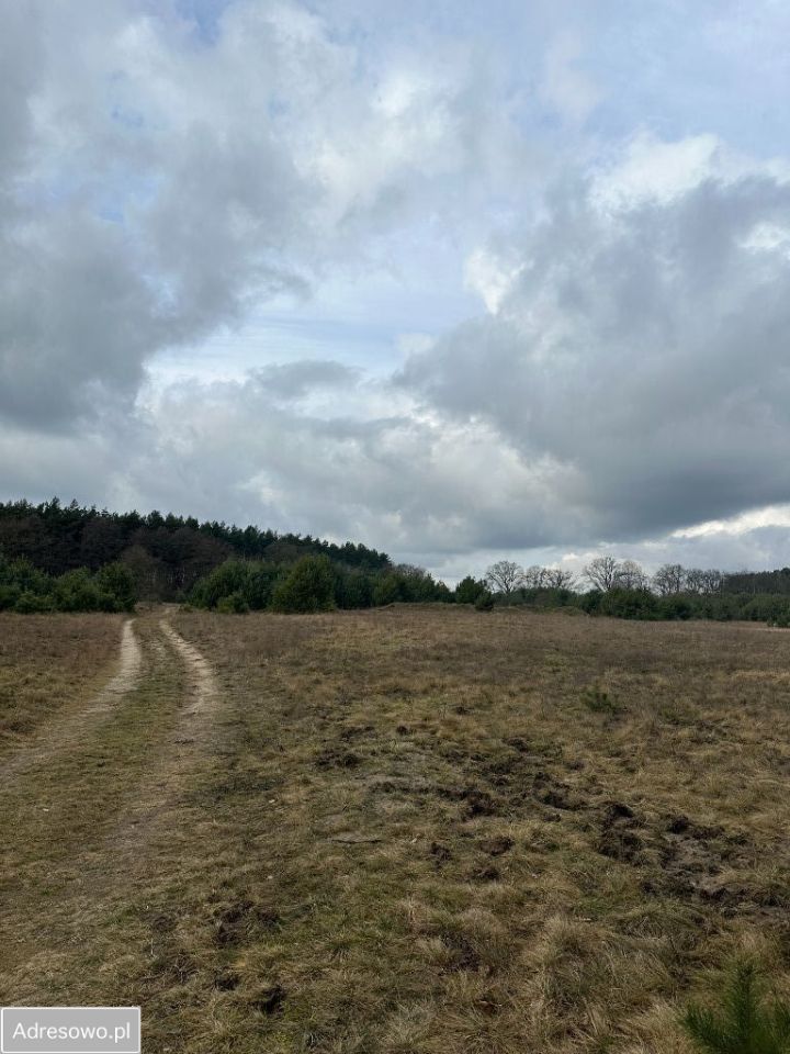 Działka rolna Baranówko. Zdjęcie 6