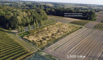 Działka inna Bronice-Kolonia