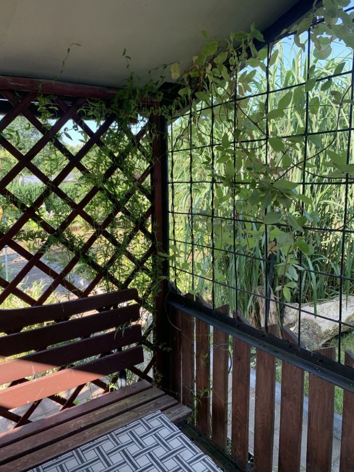 Działka rod Koszalin Kretomino, ul. Palmowa. Zdjęcie 2