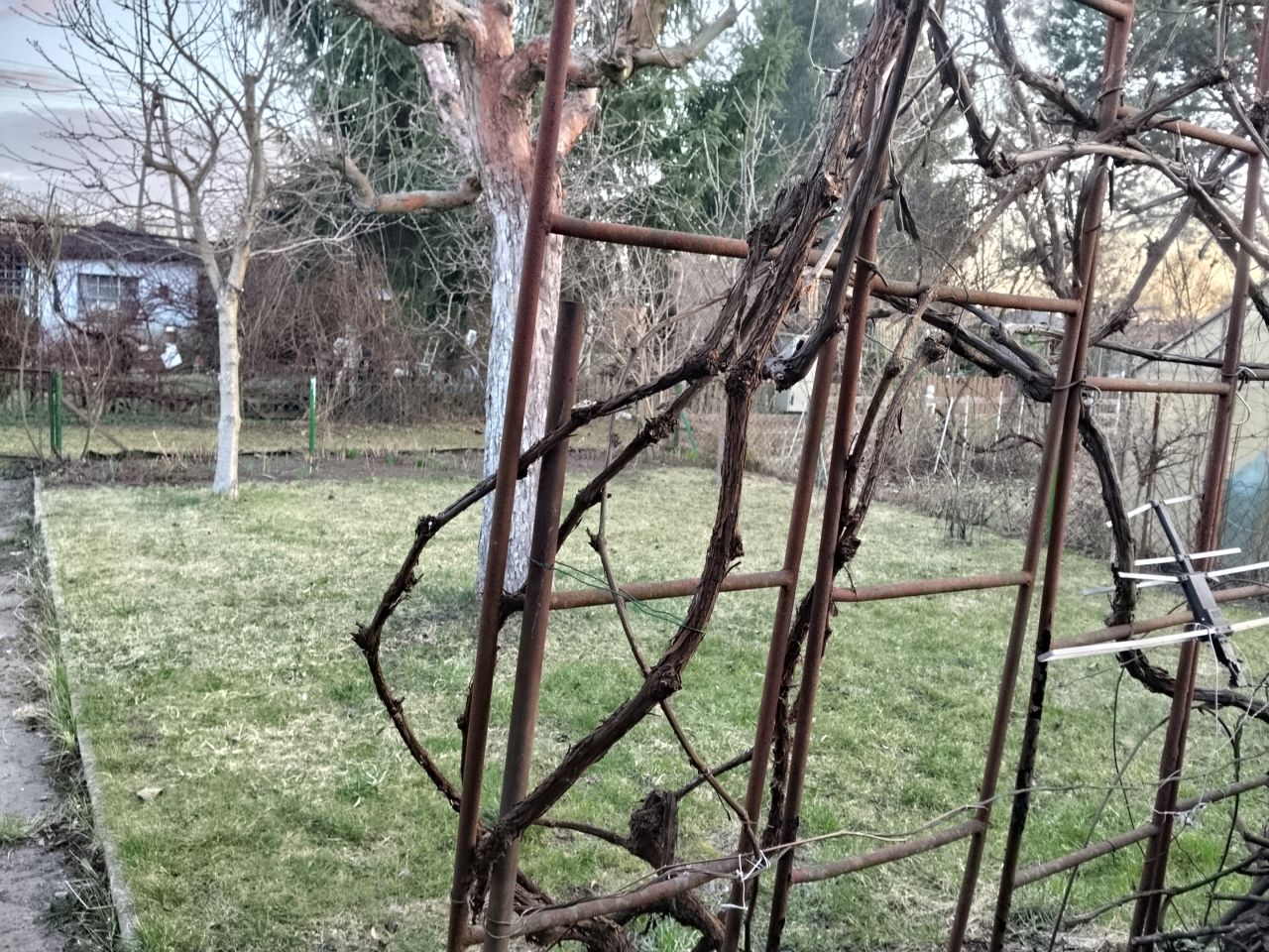 Działka rod Nowa Sól, ul. Wodna. Zdjęcie 5