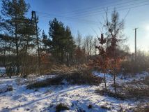 Działka inwestycyjna Lasowice. Zdjęcie 3