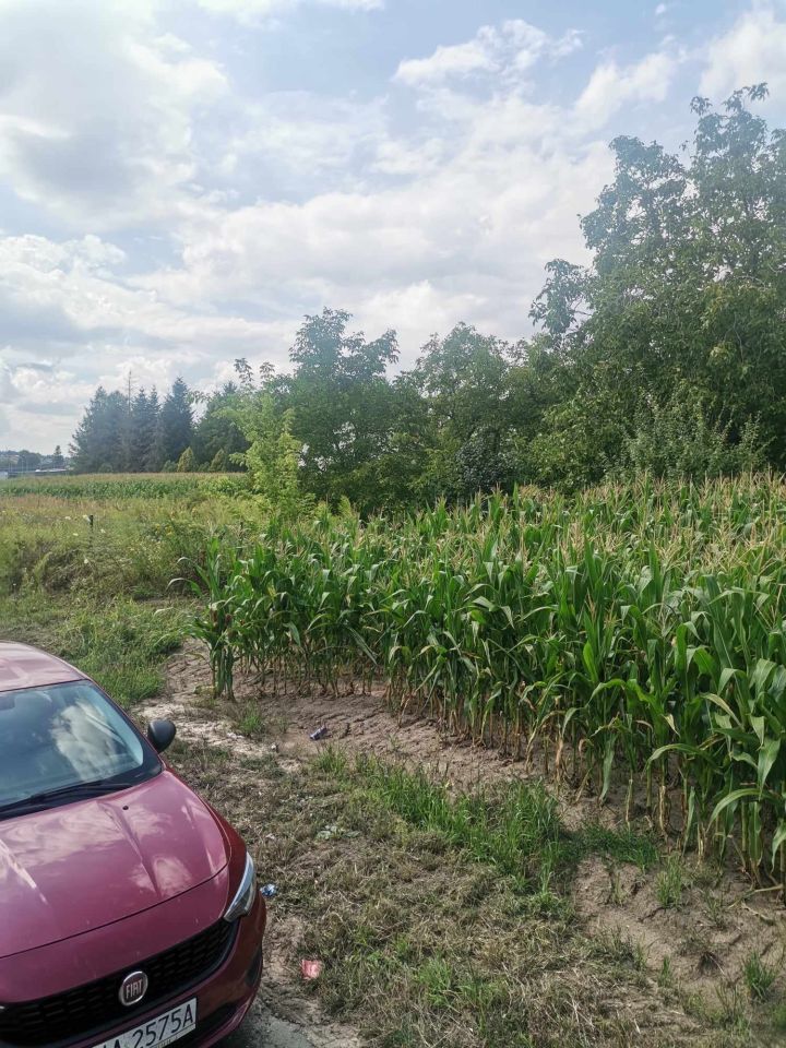 Działka rolno-budowlana Jarosław Krakowska, ul. Krakowska. Zdjęcie 3