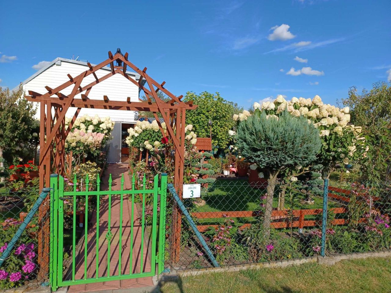 Działka rod Bełchatów. Zdjęcie 6