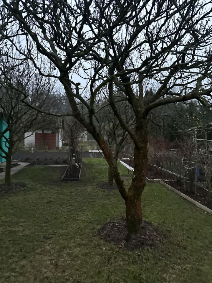 Działka rod Zielonka. Zdjęcie 4