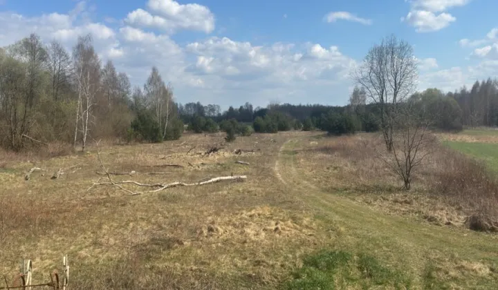 Działka rolna Górki