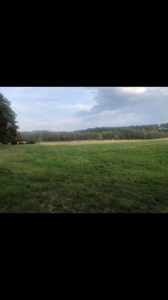 Działka rolna Wieck. Zdjęcie 5