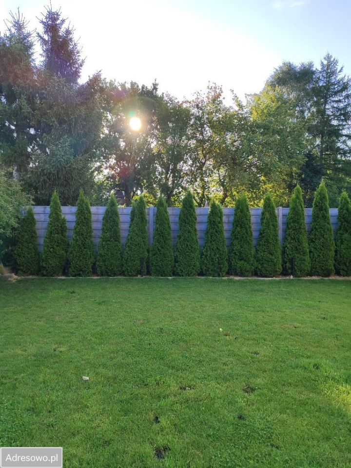 dom szeregowy, 3 pokoje Nowe Bielice, ul. Róż. Zdjęcie 10