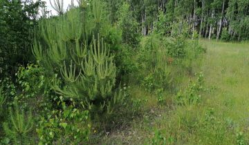 Działka rolna Karczewko, ul. Olchowa