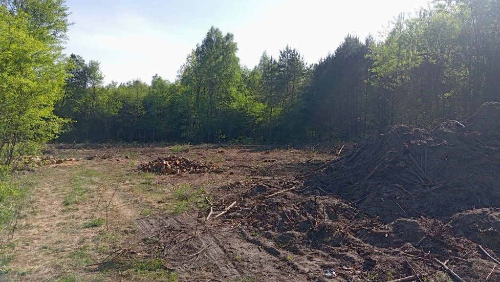 Działka budowlana Jeżewo. Zdjęcie 6