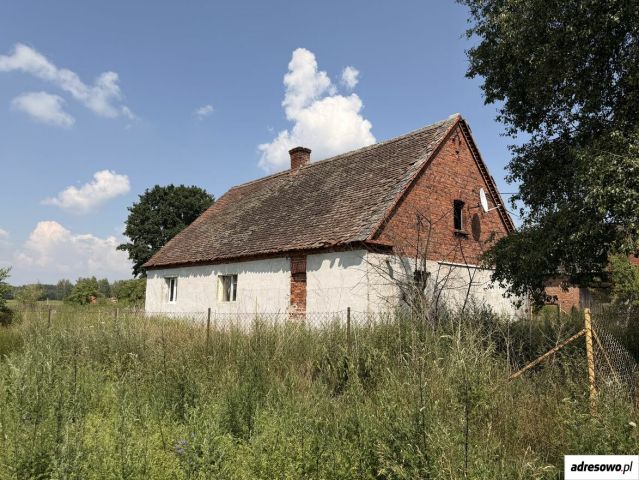 Działka siedliskowa Pawłów. Zdjęcie 1