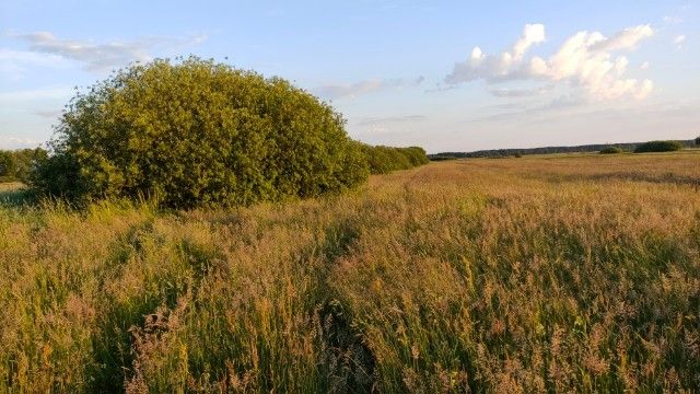 Działka rolna Wielkie. Zdjęcie 3