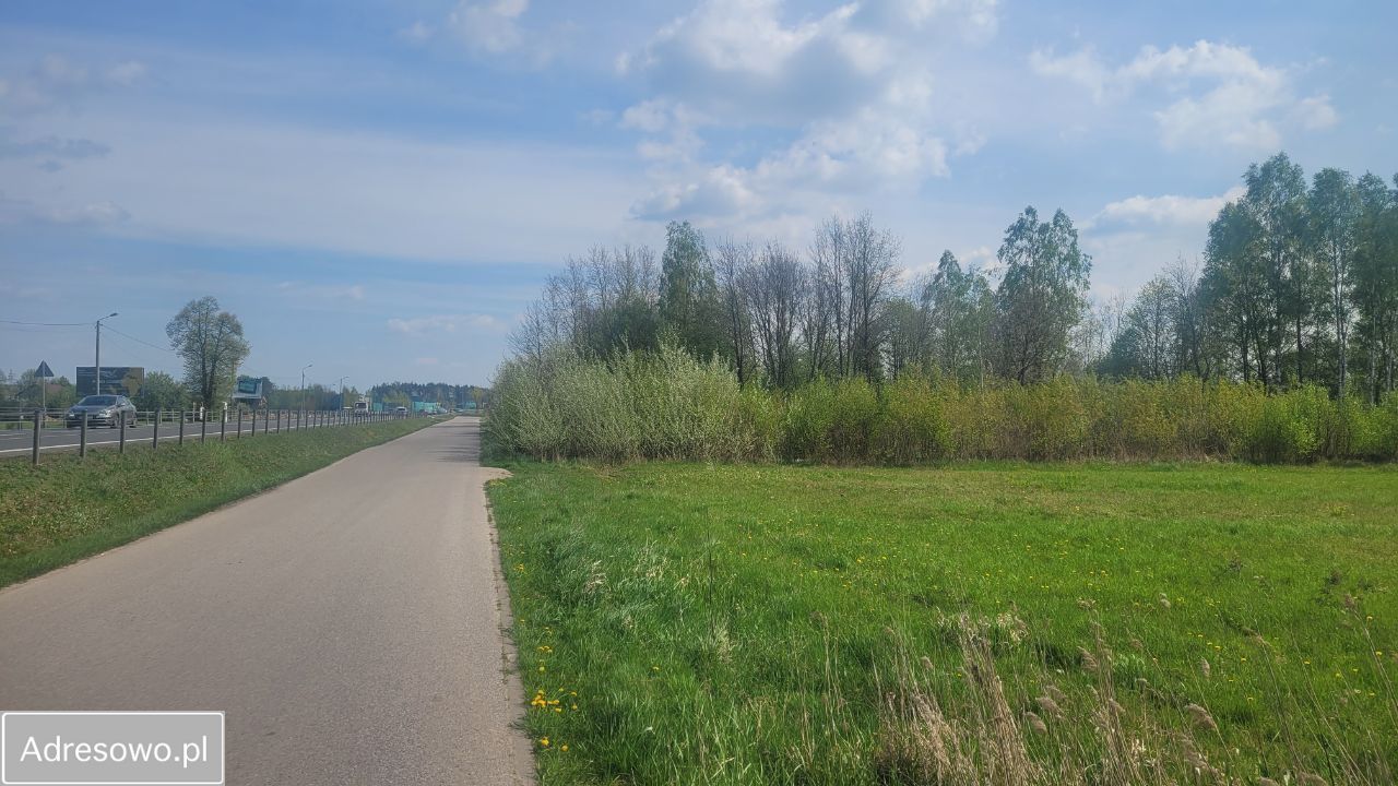 Działka inwestycyjna Dębe Wielkie. Zdjęcie 2