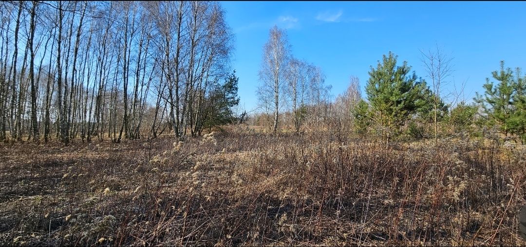 Działka budowlana Zagościniec, ul. Tramwajowa. Zdjęcie 6