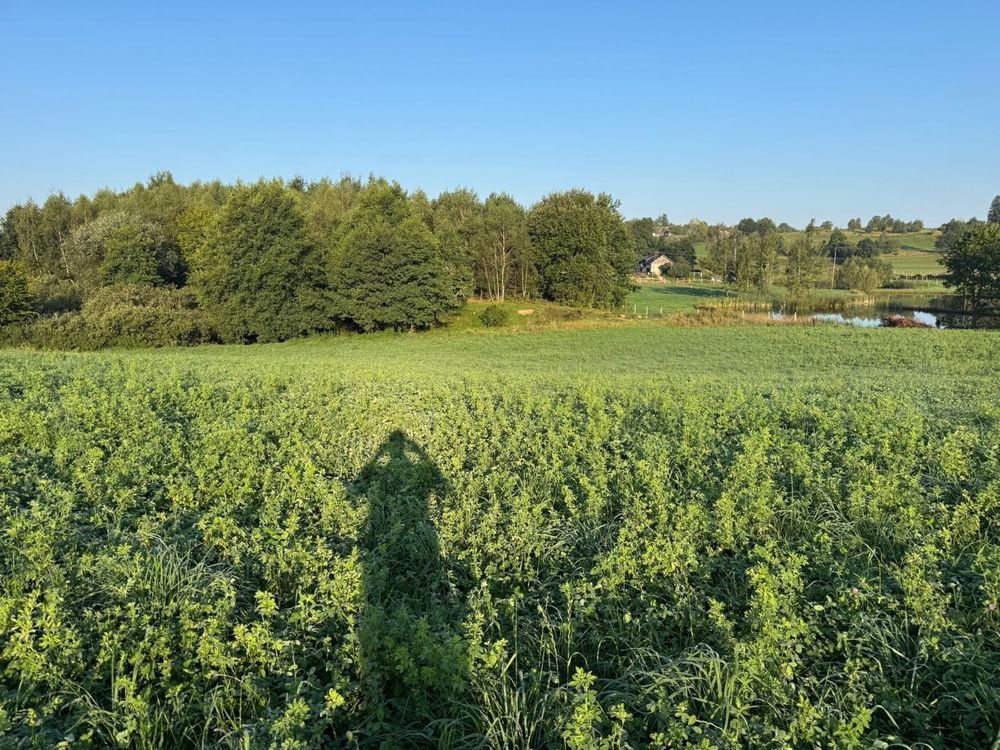 Działka budowlana Ramleje. Zdjęcie 5