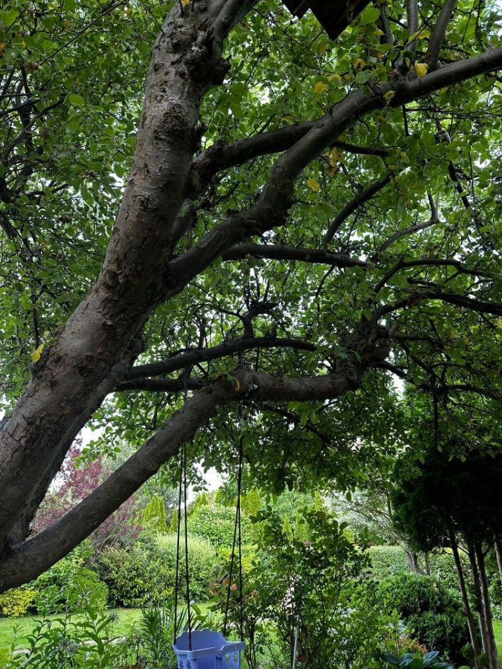 Działka rod Płock, ul. Graniczna. Zdjęcie 4