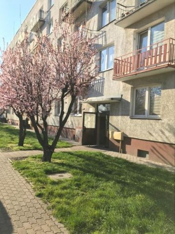 Mieszkanie 2-pokojowe Świdnica, ul. Parkowa. Zdjęcie 1