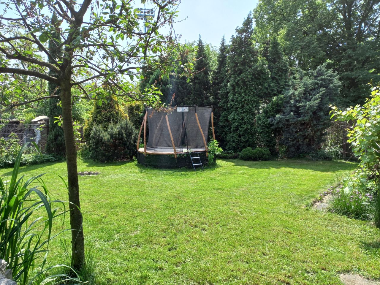 Działka rod Ruda Śląska Orzegów, ul. Kardynała Augusta Hlonda. Zdjęcie 6