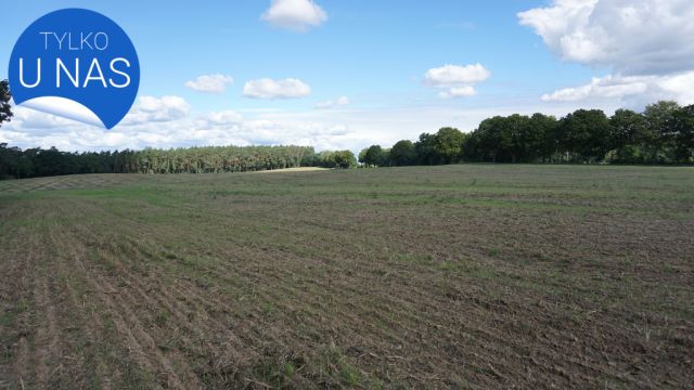 Działka budowlana Białokosz. Zdjęcie 14