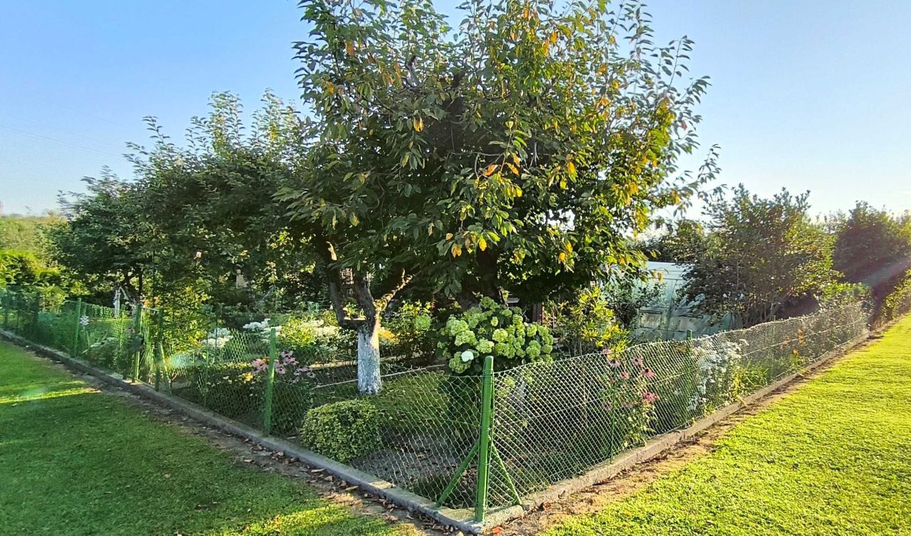 Działka rod Bystrzyca Kłodzka. Zdjęcie 7