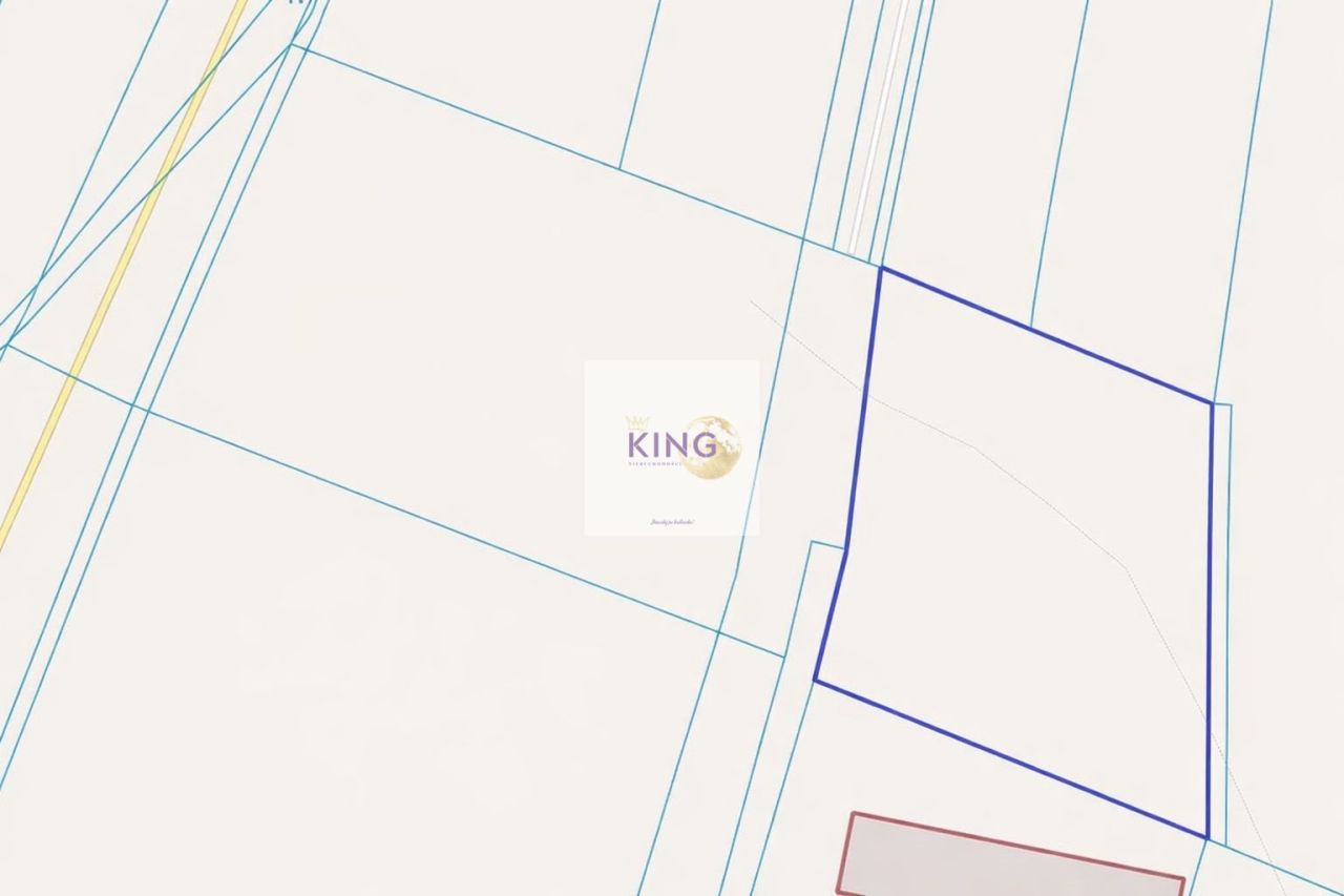 Działka inwestycyjna Pniewo. Zdjęcie 6