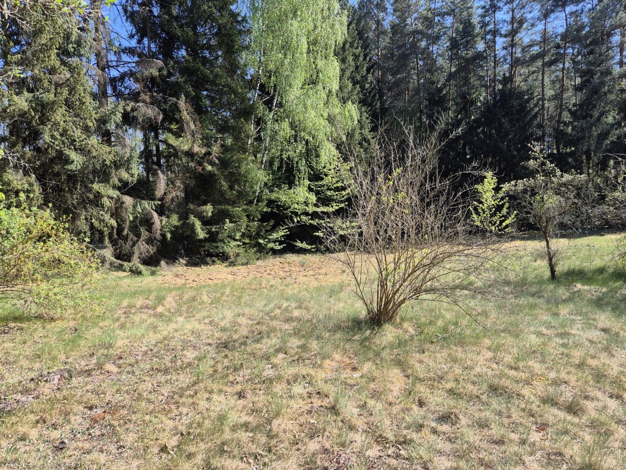 Działka rolno-budowlana Adamów-Wieś, Kwiat Paproci. Zdjęcie 2