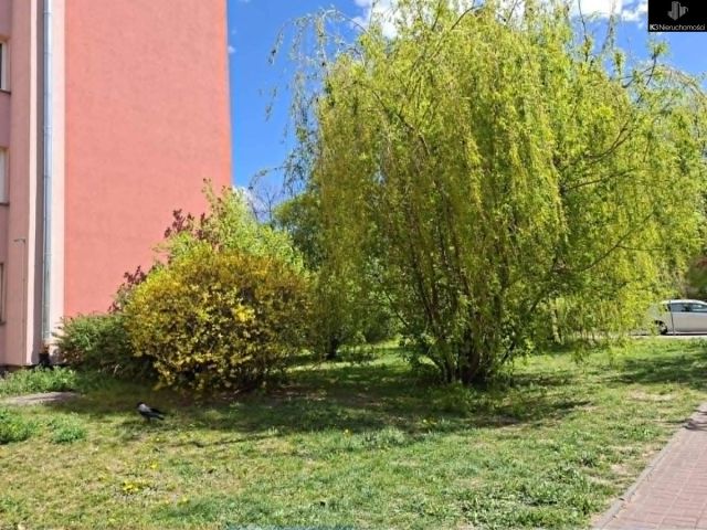 Mieszkanie 2-pokojowe Warszawa Ochota. Zdjęcie 13
