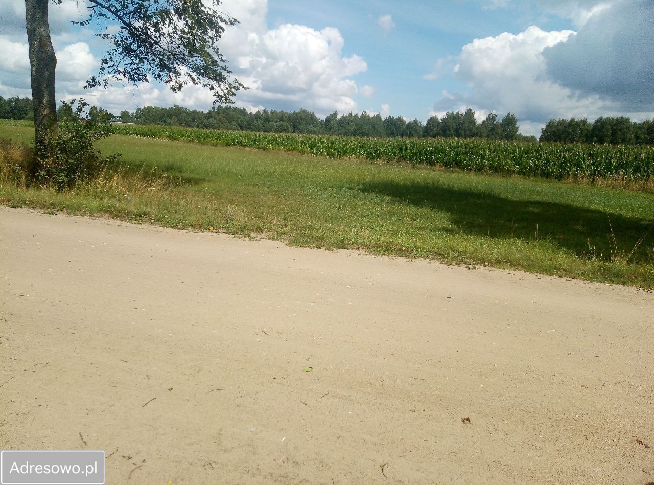 Działka rolna Stara Trzcianka. Zdjęcie 3