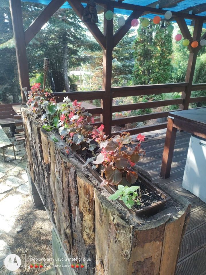 Działka rod Toruń Rudak. Zdjęcie 8