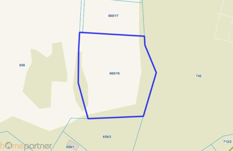 Działka rolna Walim, ul. Adama Mickiewicza. Zdjęcie 4