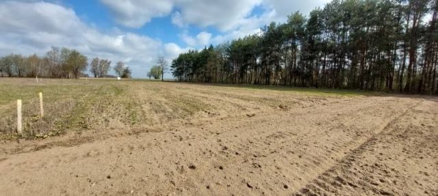 Działka budowlana Szydłów-Kolonia. Zdjęcie 1