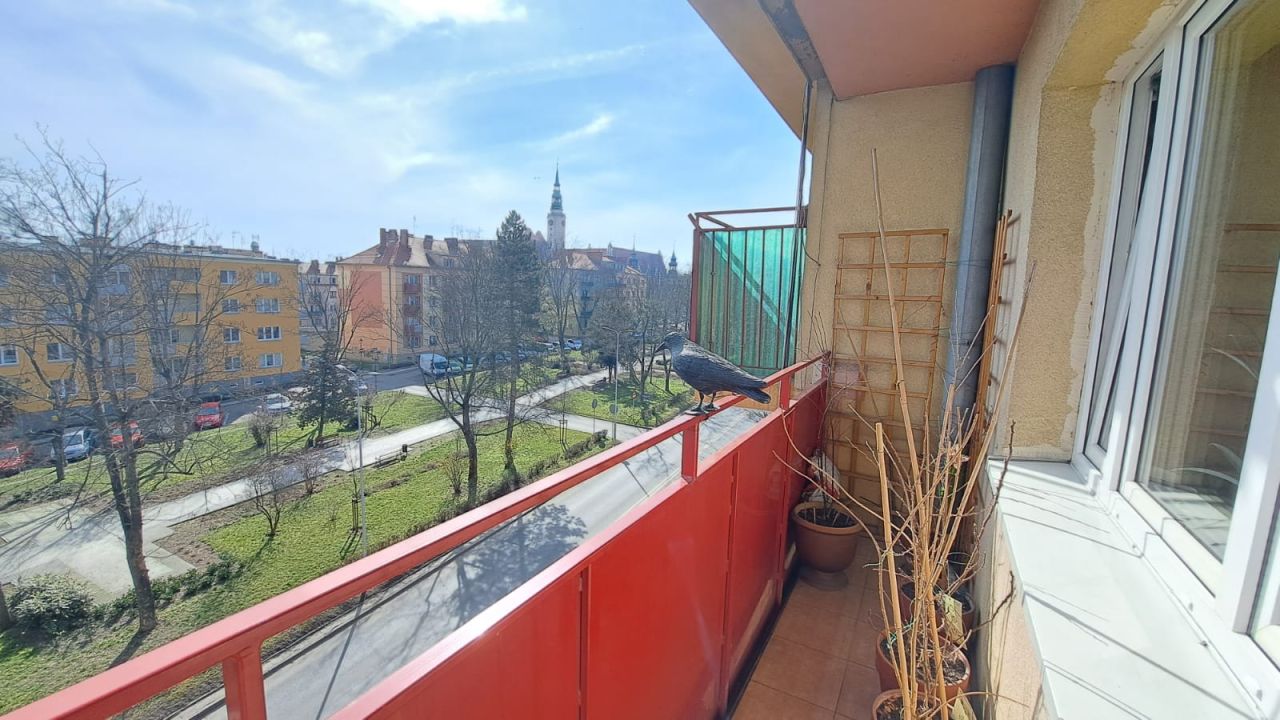 Mieszkanie 2-pokojowe Brzeg Centrum, ul. Władysława Jagiełły. Zdjęcie 4