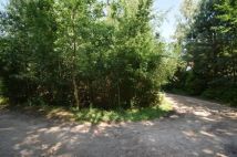 Działka rekreacyjna Kuligów, ul. Leśna. Zdjęcie 4