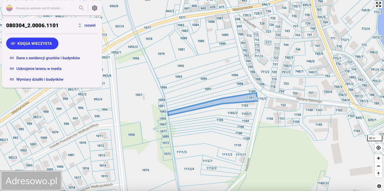 Działka rolna Pszczew, ul. Parkowa. Zdjęcie 4