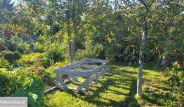 Działka rod Szczecin Śródmieście