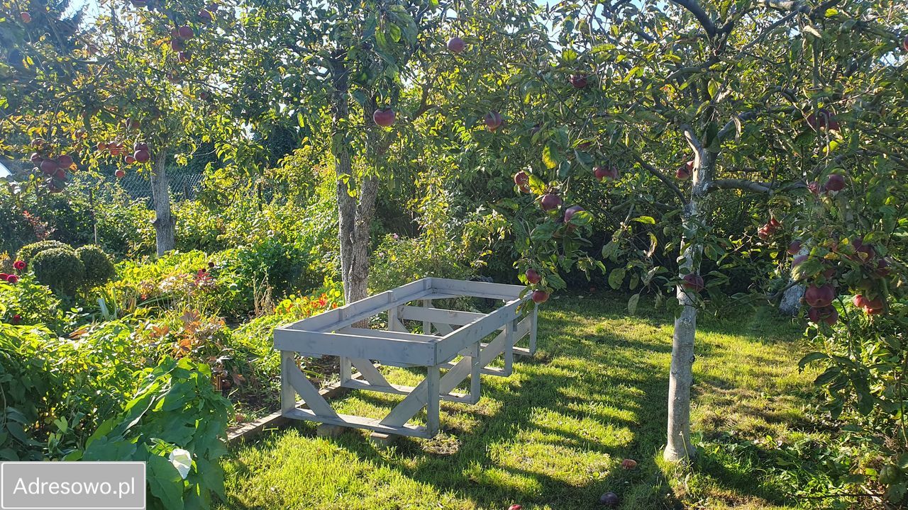 Działka rod Szczecin Śródmieście. Zdjęcie 2