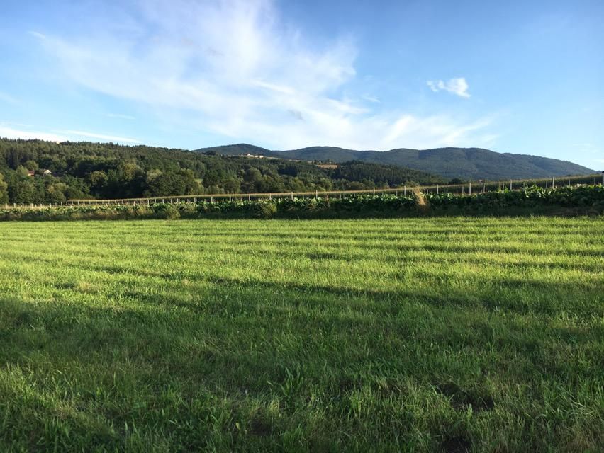 Działka budowlana Kierlikówka Orzechówka