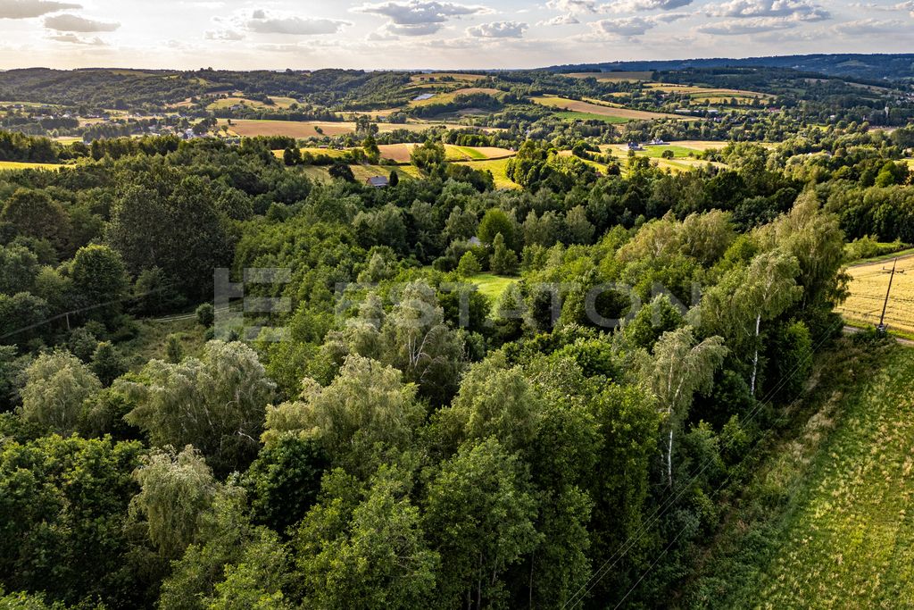 Działka rolna Nowy Borek. Zdjęcie 6