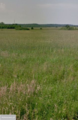 Działka budowlana Radomsko, ul. Rumiankowa. Zdjęcie 1