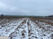 Działka budowlana Konstantynów Łódzki, ul. Zgierska. Zdjęcie 2